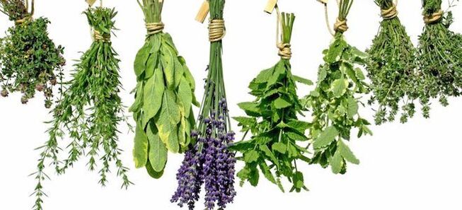 Herbs to increase potency in men